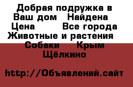 Добрая подружка,в Ваш дом!!!Найдена › Цена ­ 10 - Все города Животные и растения » Собаки   . Крым,Щёлкино